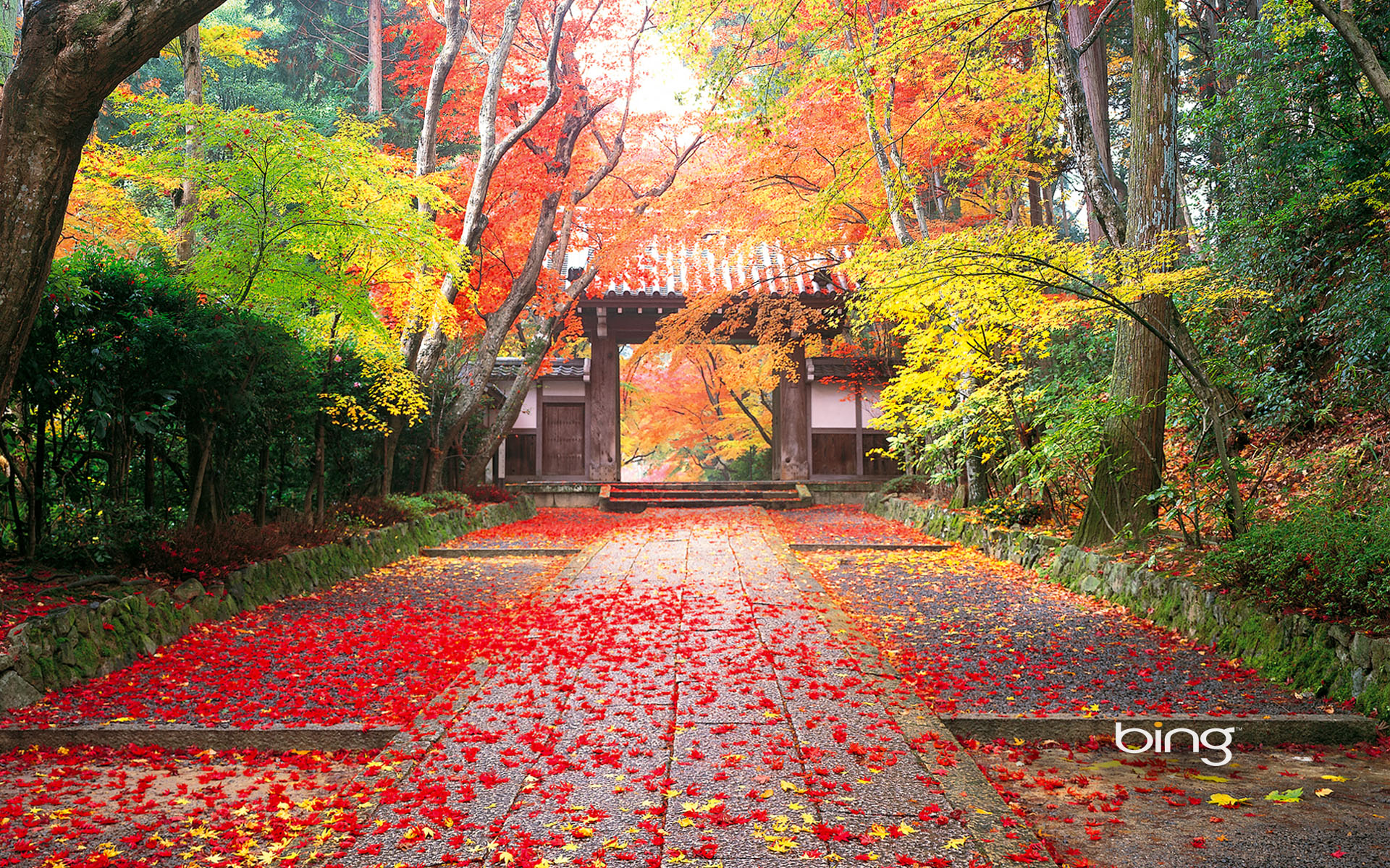  HD  Japan  Backgrounds  PixelsTalk Net