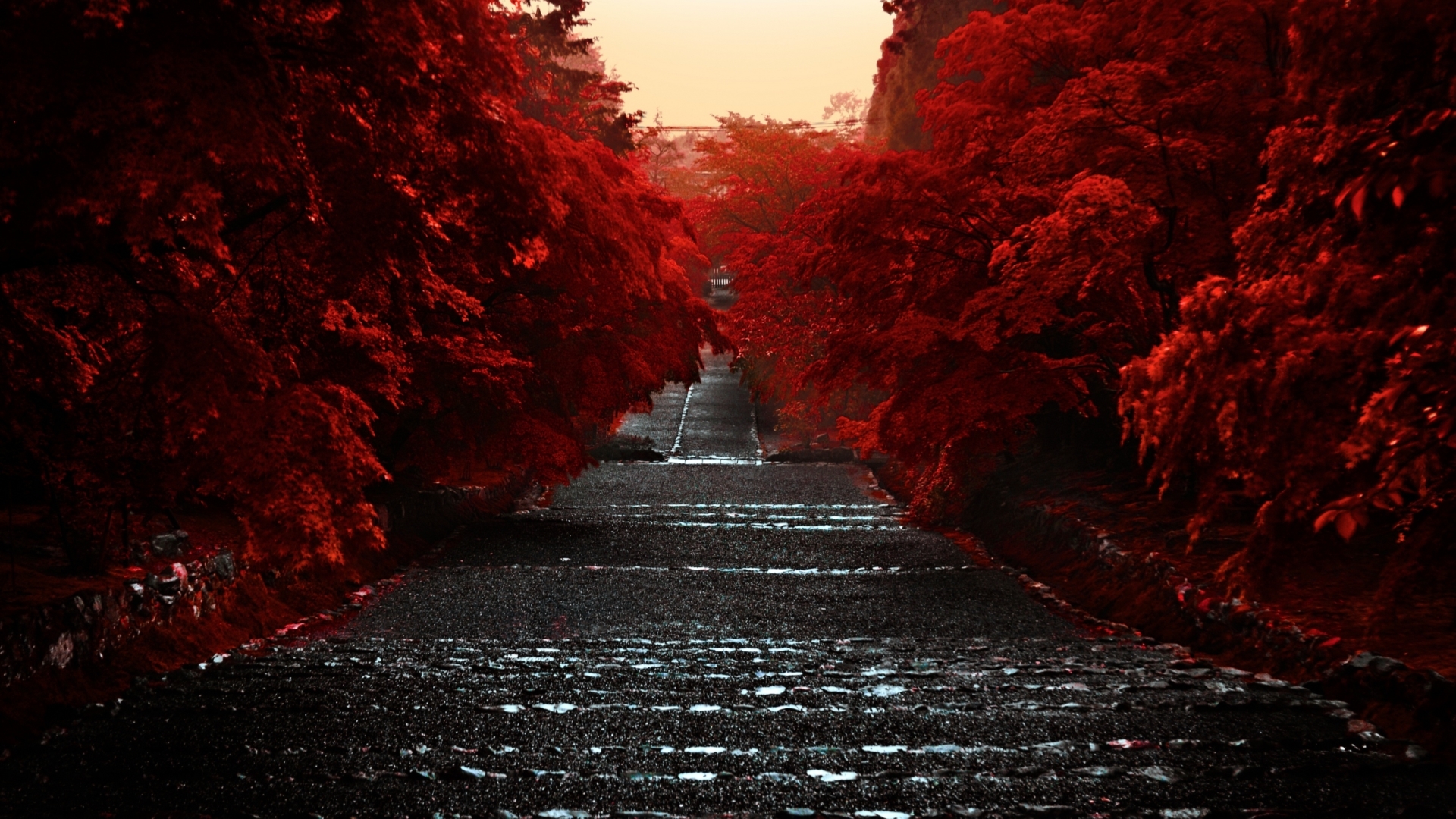 Unduh 86+ Wallpaper Of Japan Terbaik - Posts.id