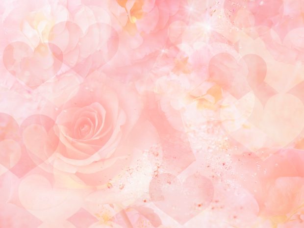 Light Pink Wallpaper HD.