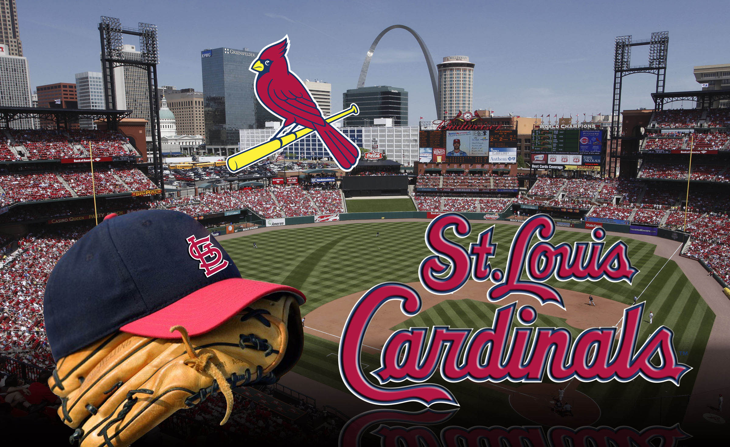 Picture Of St Louis Cardinals Logo | IQS Executive