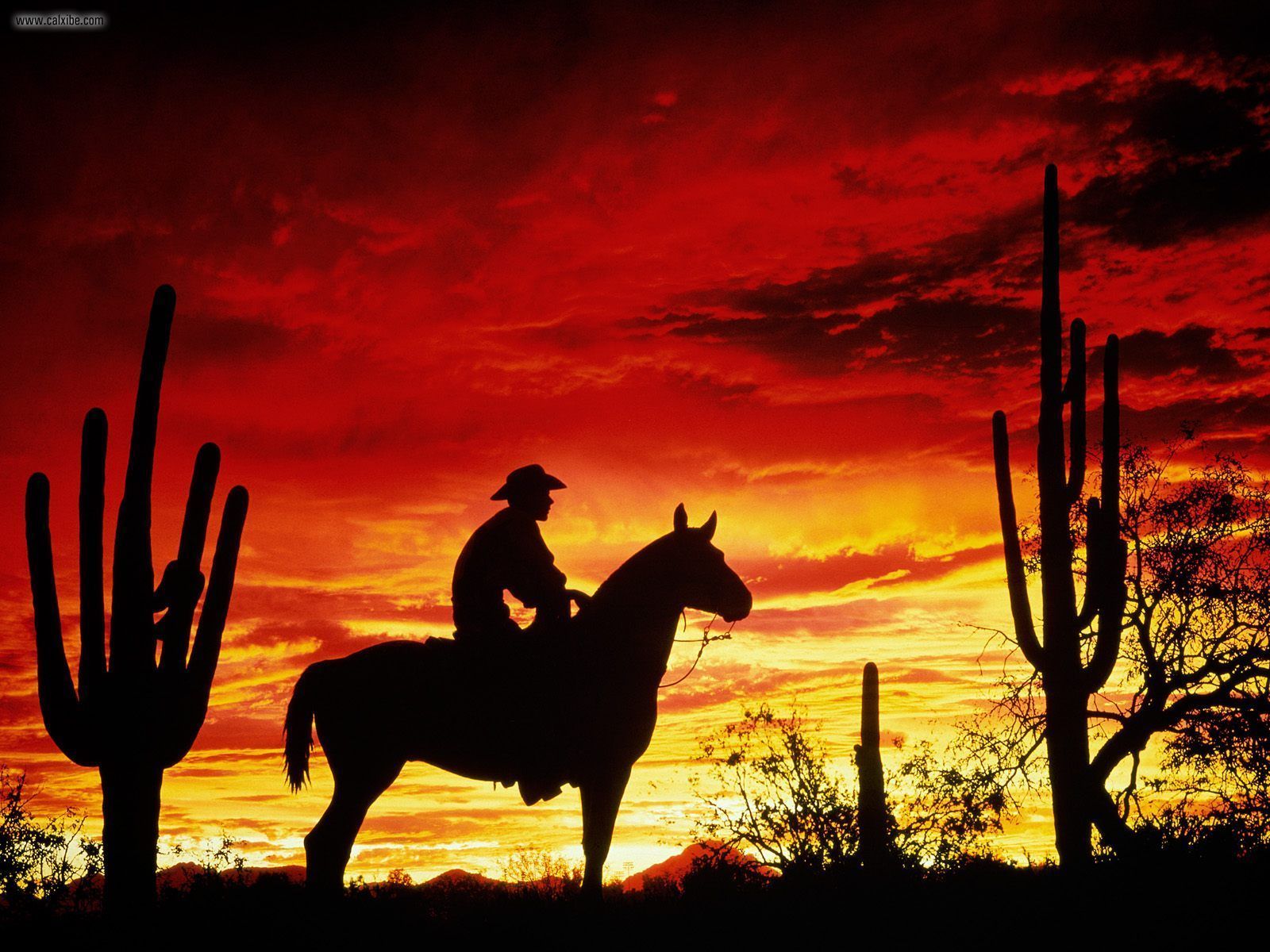 HD western asthetic wallpapers  Peakpx