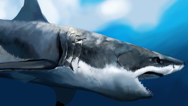 Maw shark art under the water hunger profile.