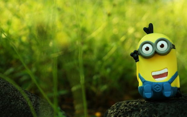 Minion wallpapers nature wallpaper.