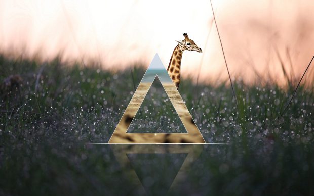 Miscellaneous digital art hipster abstract minimalist art wallpapers.