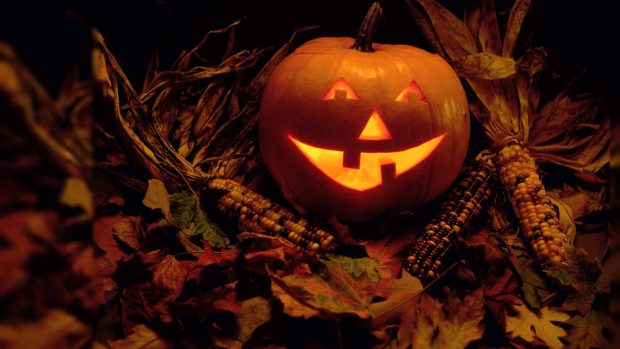 Moon On Halloween Wallpapers.