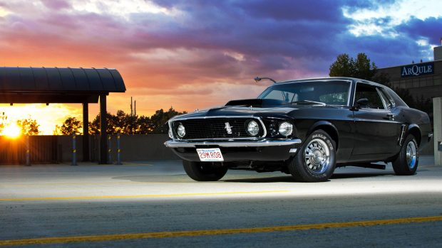 Mustang HD Wallpaper High Quality Pictures.