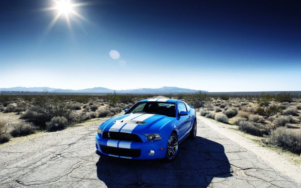 2010 Ford Shelby GT500