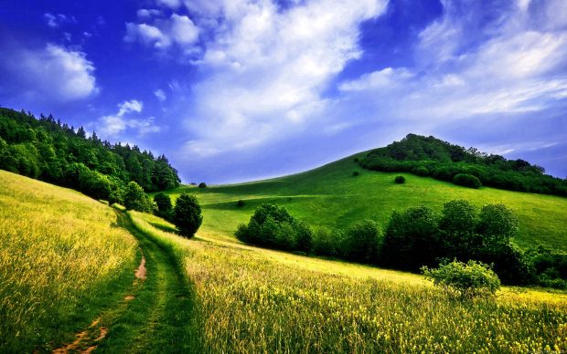 Nature Wallpaper Full HD Widescreen.