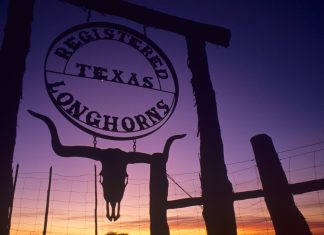 Night Texas Backgrounds.