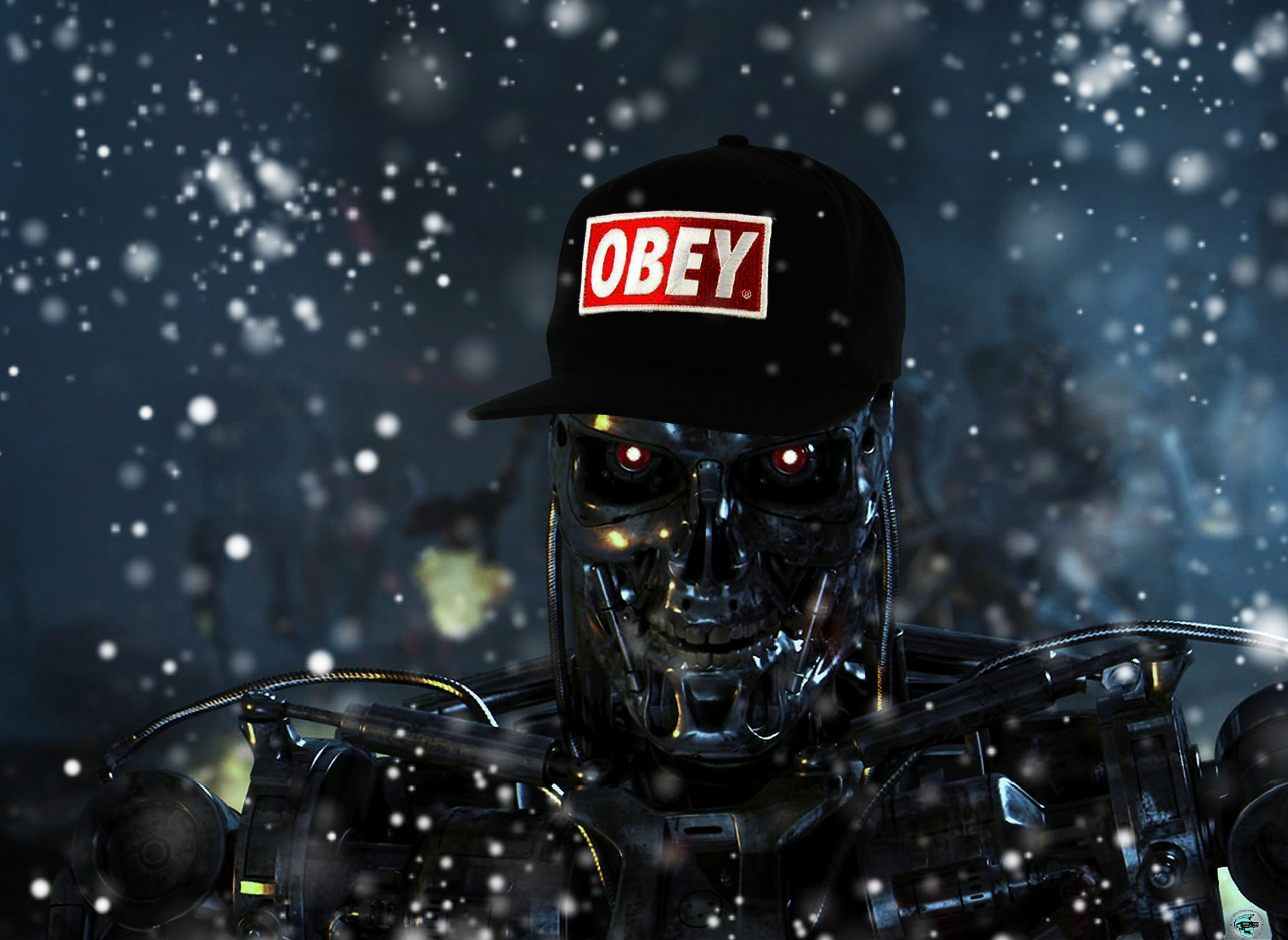 Obey Wallpapers High Quality | PixelsTalk.Net1920 x 1400