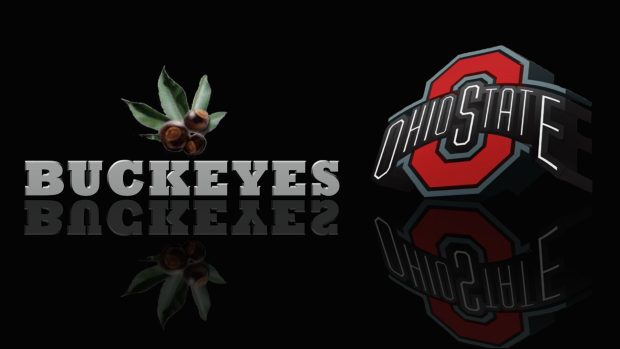 Original screensavers buckeyenuts state american football wallpapers.