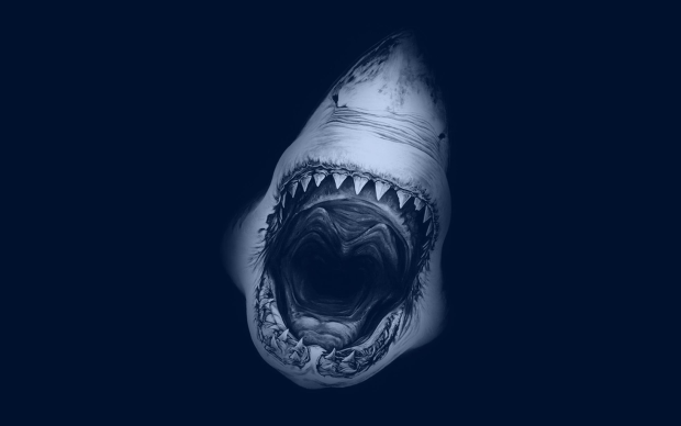 Photo Desktop Shark Yawn.