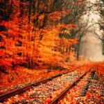 Photo Fall desktop wallpapers hd.