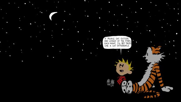 Pictures calvin and hobbes comics.