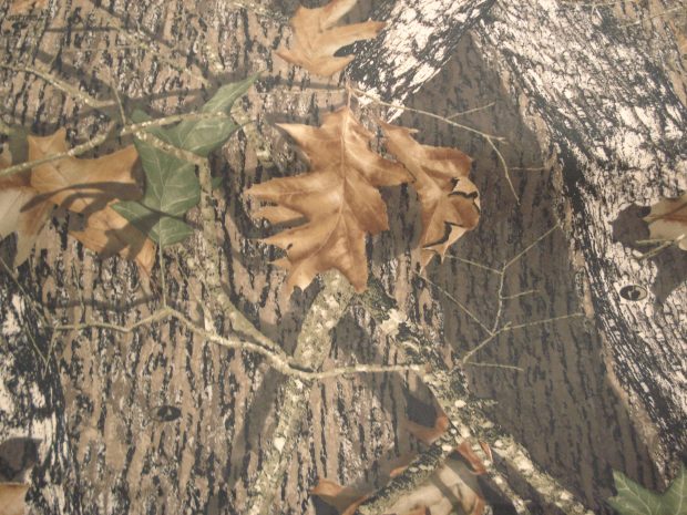 RealTree Camouflage HD Picture.