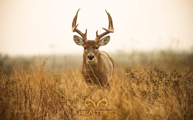 Realtree Camo HD Wallpaper.