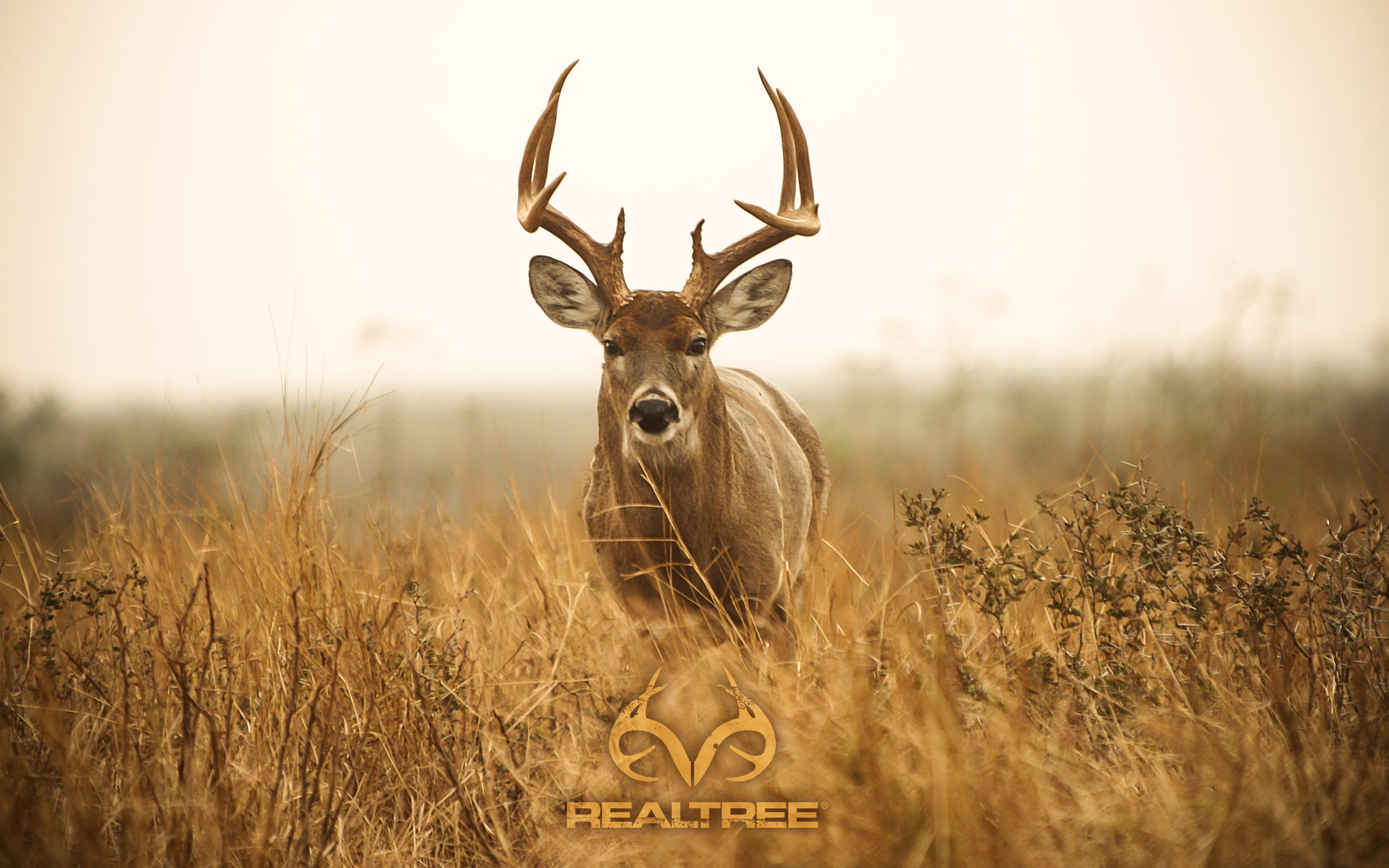 HD Realtree Camo Wallpapers | PixelsTalk.Net