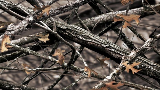 Realtree Camo HD Widescreen Image.