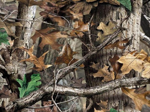 Realtree Camo HD Widescreen Wallpapers.