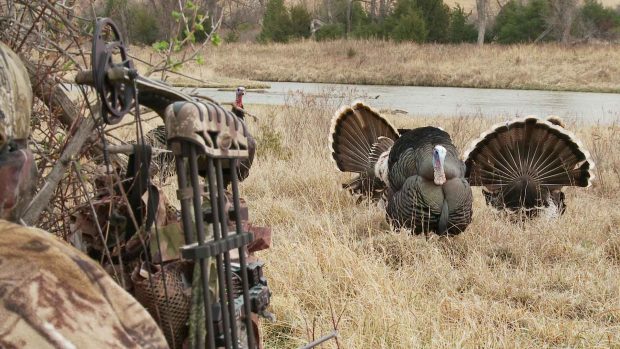 Realtree Camo Photos.