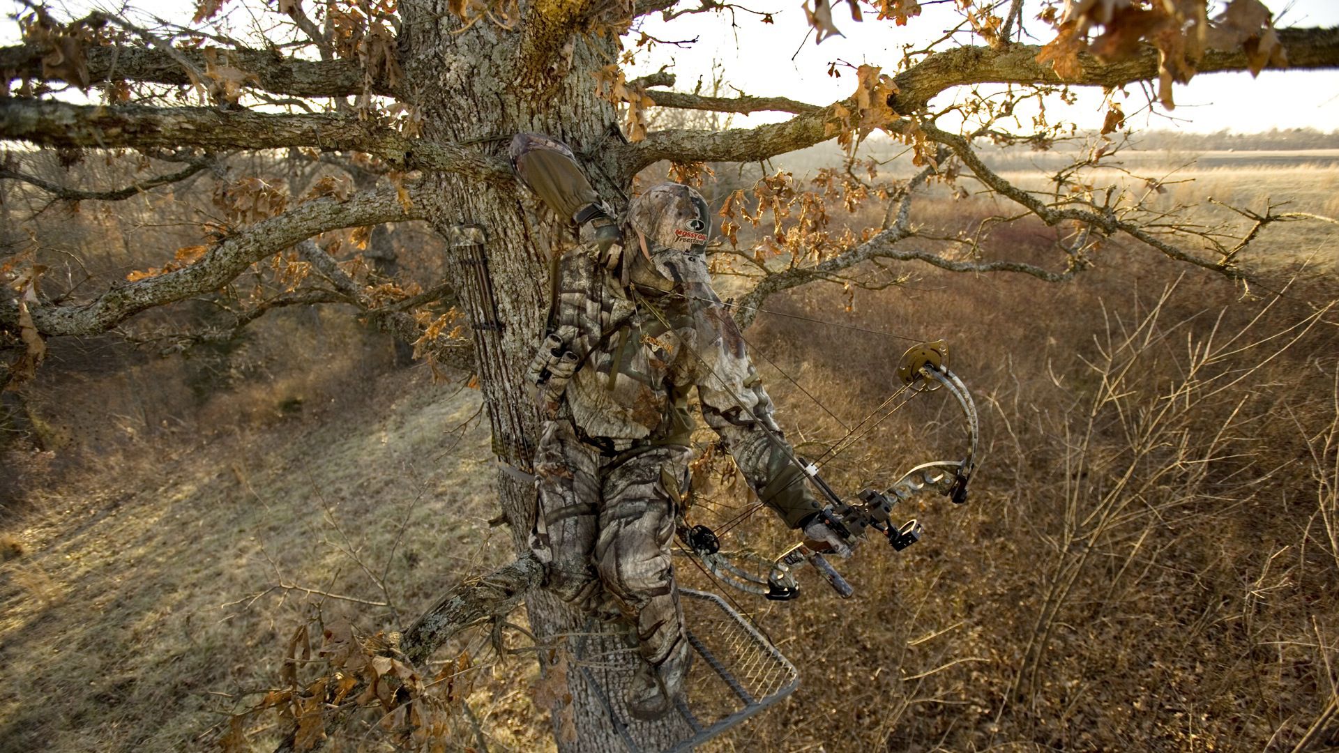 realtree turkey hunting wallpaper