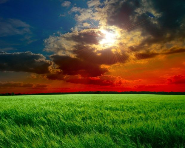 Red Sunset Fields Wallpaper in 1280x1024.