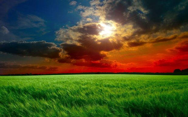 Red Sunset Fields Wallpaper in 1440x900 Widescreen.