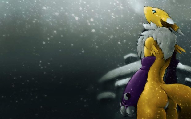 Renamon Digimon Desktop Wallpaper 1440x900.