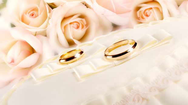 Rings wedding gold glitter fabric flower rose backgrounds.