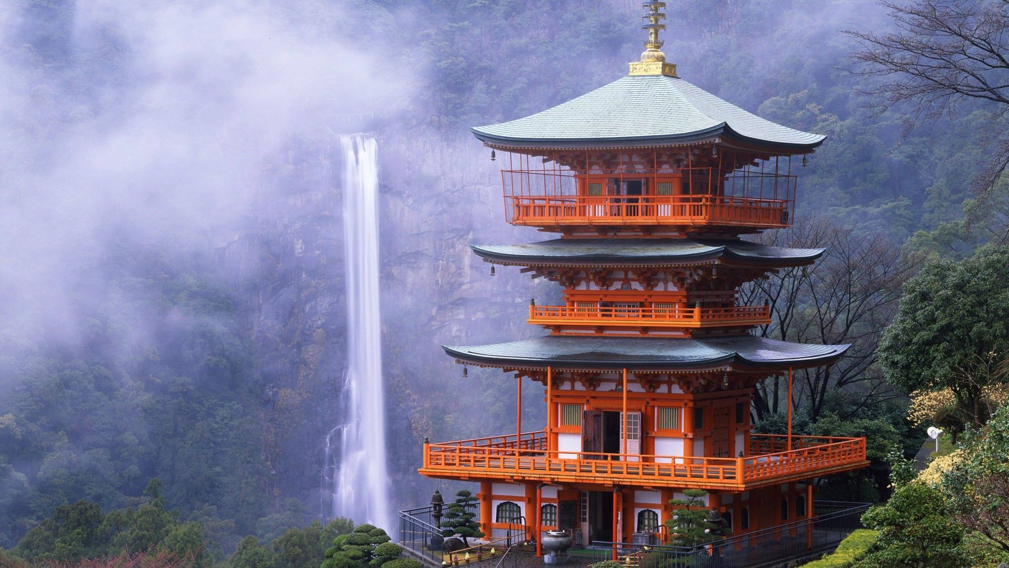 Cherry Blossoms, Ninnaji Temple, Kyoto, Japan бесплатно