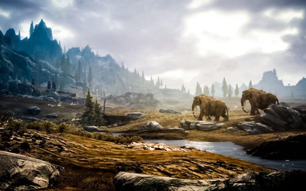 Skyrim Picture.