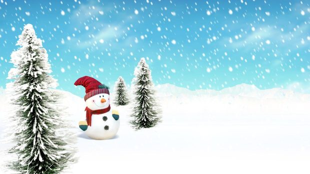 Snowman Widescreen Desktop Wallpaper.