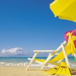 Summer HD Backgrounds Free Download.