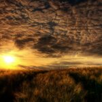 Summer Photo Amazing Wallpaper.