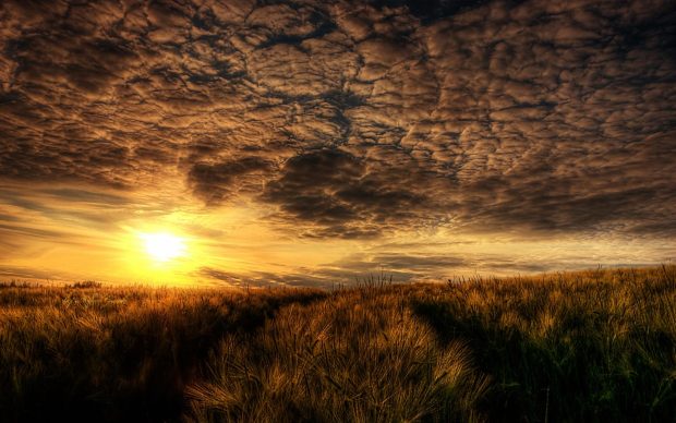 Summer Photo Amazing Wallpaper.