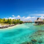Summer Photography Backgrounds.