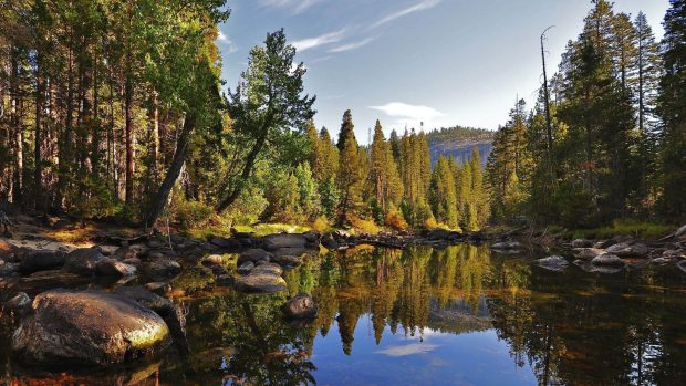 Summer Trees Autumn Mountains Nature.