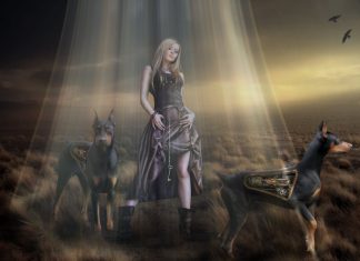 Technics Dogs Doberman Pinscher Rays of light Robot Fantasy Girls sci fi cyborg cyborgs robots steampunk 1920x1200.