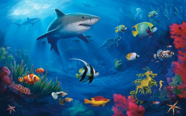 Underwater World HD Wallpaper.