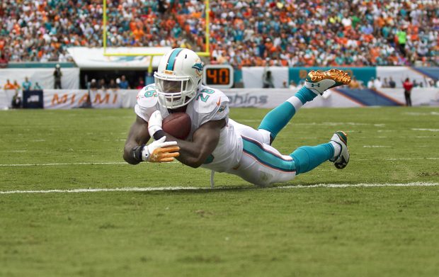 Wallpapers miami dolphins hd.