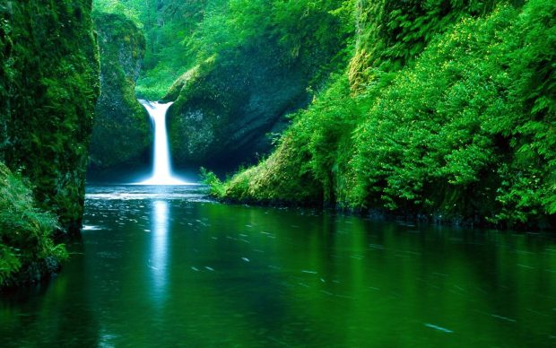 Waterfall River Green Wallpaper 1440x900.