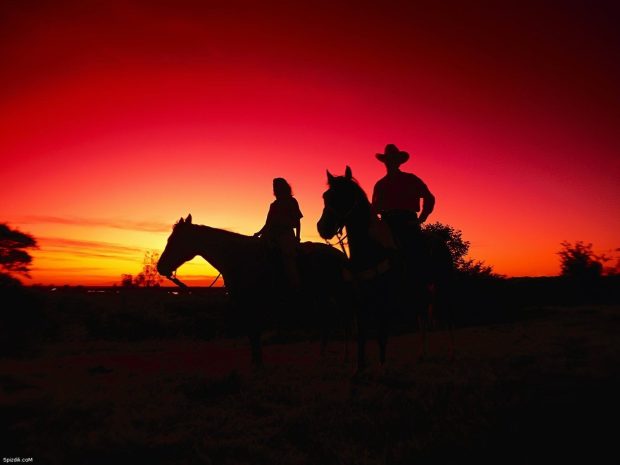 Western Cowboy Wallpaper.