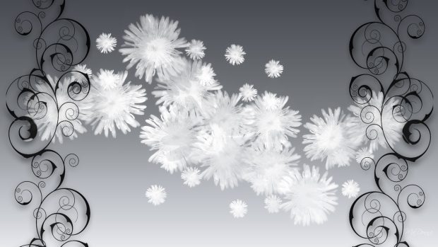 White fluff on silver wallpapers HD.