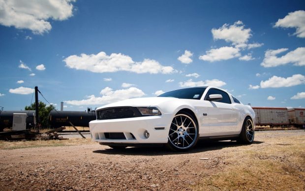 White ford mustang wallpapers.