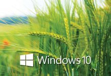 Windows 10 Transparent Wallpapers.