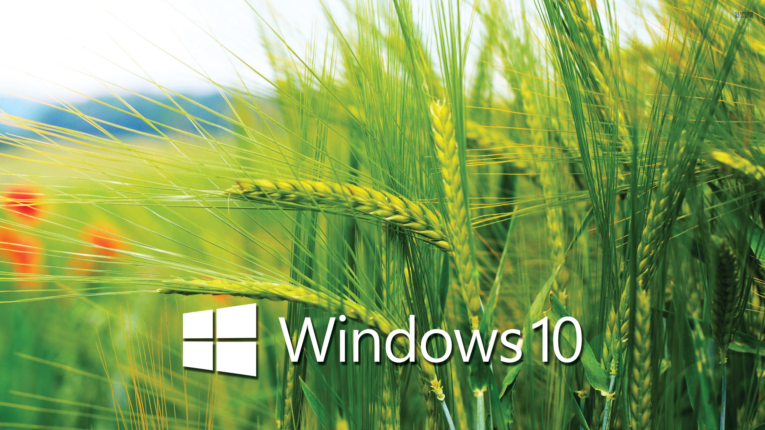 Windows 10 Wallpaper Hd 3d For Desktop Sweden SAVE 45   arriolatanzstudioat