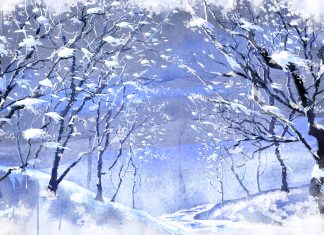 Winter park romantic frozen wallpaper christmas gallery random.