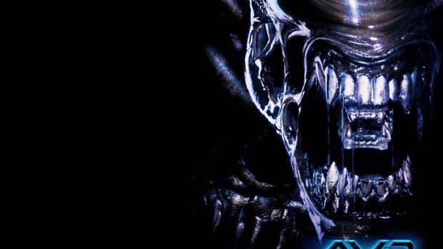 Alien vs predator alien wallpaper hd.