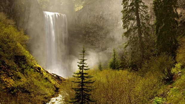 Tamanawas Falls, Mt. Hood National Forest, OR