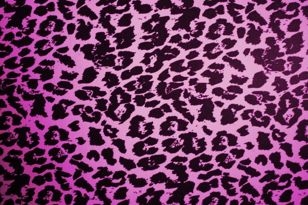 Animal Print Backgrounds For Desktop.